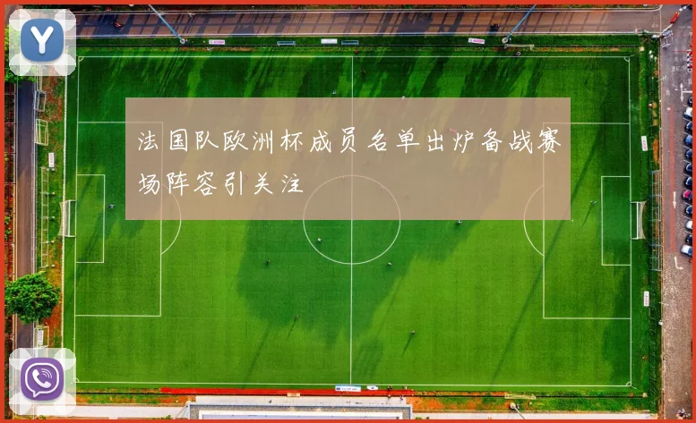 法国队欧洲杯成员名单出炉备战赛场阵容引关注
