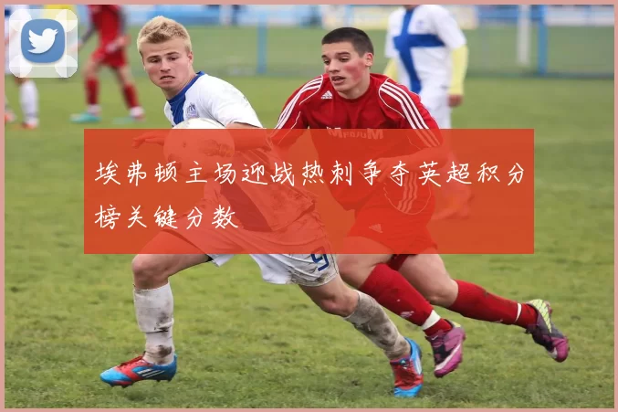 埃弗顿主场迎战热刺争夺英超积分榜关键分数