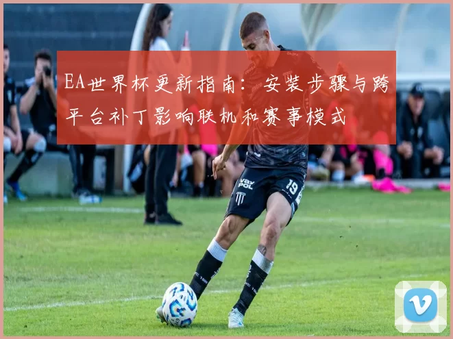 EA世界杯更新指南：安装步骤与跨平台补丁影响联机和赛事模式