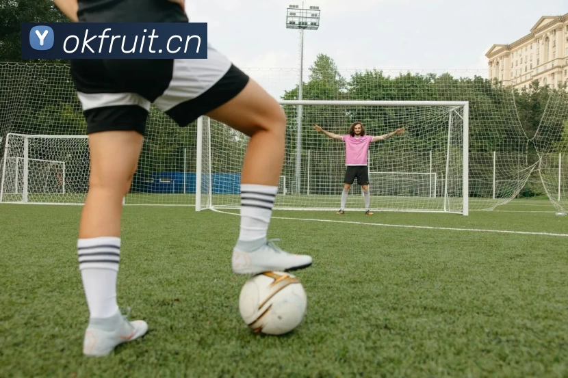 九游官网·(中国大陆) 手机游戏第一门户 - 官方网站服务体系